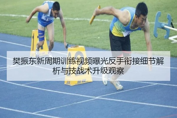 樊振东新周期训练视频曝光反手衔接细节解析与技战术升级观察